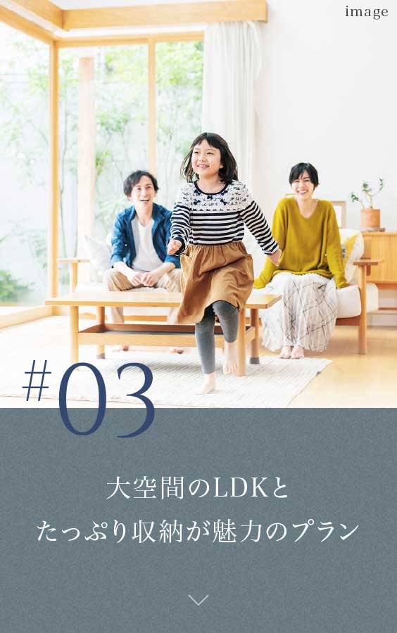 大空間のLDKとたっぷり収納が魅力のプラン